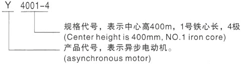 西安泰富西玛Y系列(H355-1000)高压YR4504-4/450KW三相异步电机型号说明